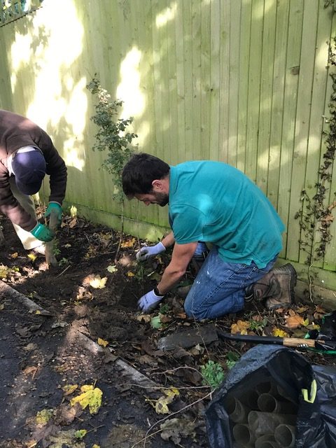 Man kneeling and planting a tree.